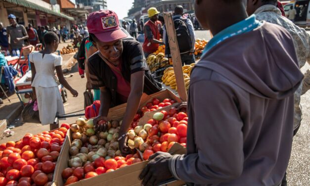 Zimbábue registra desaceleração significativa da inflação devido a reformas monetárias