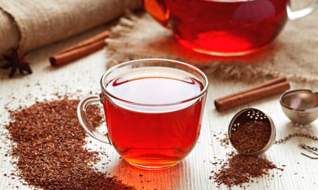 Como Preparar um Chá de Rooibos para o Bem-Estar Geral