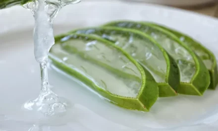 Como Preparar um Cataplasma de Aloe Vera para Queimaduras Solares Leves e Irritações da Pele