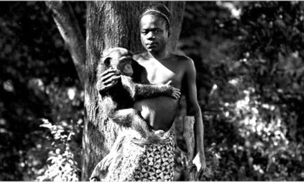 O Legado de Ota Benga
