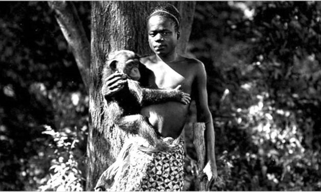 O Legado de Ota Benga