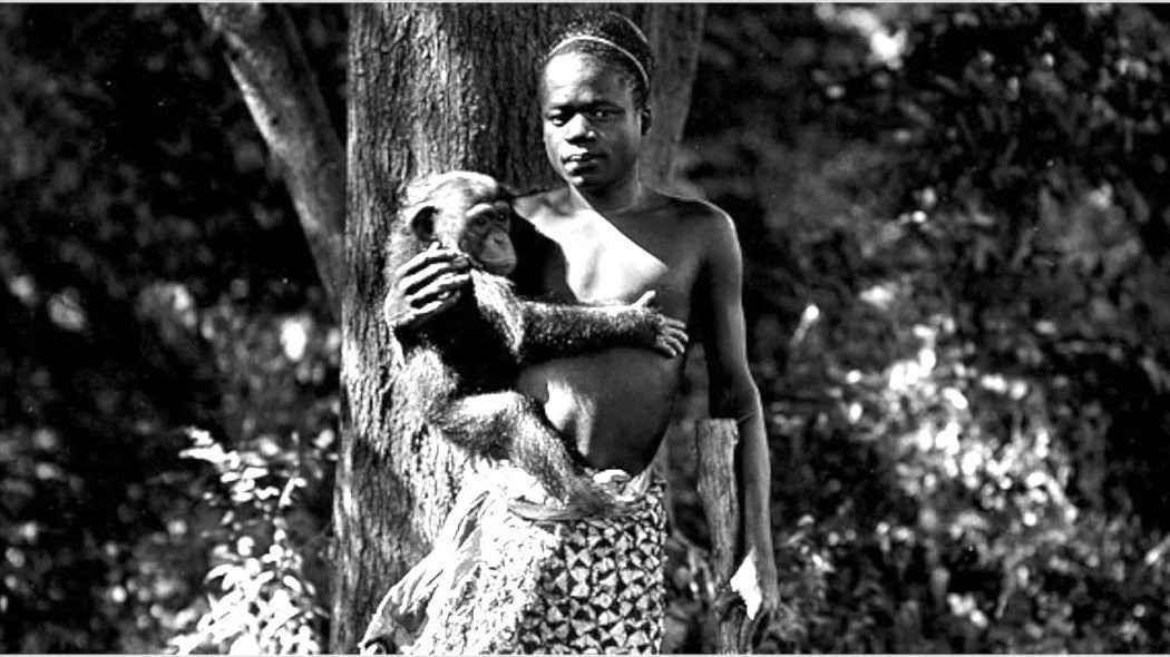 O Legado de Ota Benga