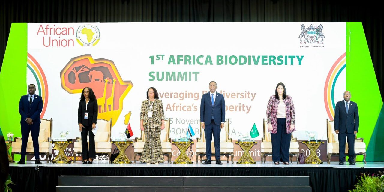 Líderes Africanos Devem Transformar a Riqueza Natural do Continente em Prosperidade Duradoura, Diz Presidente do Botsuana