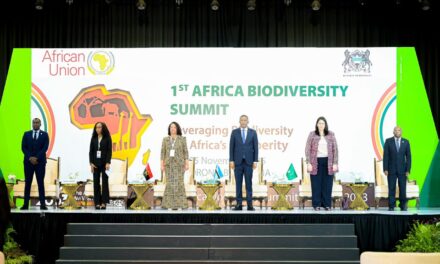 Líderes Africanos Devem Transformar a Riqueza Natural do Continente em Prosperidade Duradoura, Diz Presidente do Botsuana